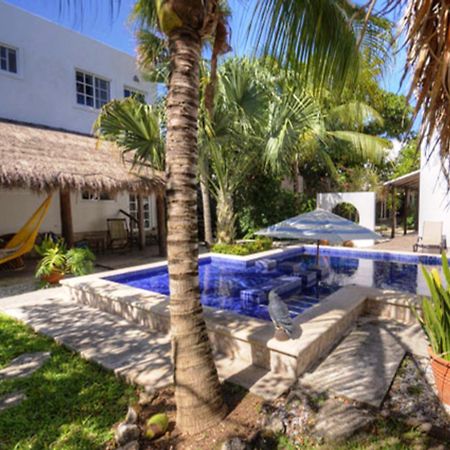 Villa Escondida Guest House Cozumel Downtown ภายนอก รูปภาพ